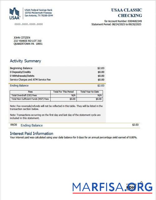 Printable USAA Federal Savings bank statement word version 2 template
